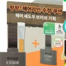 스테디헤어 이미지
