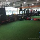 YC바디핏 이미지