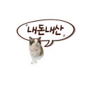 바나타이거청주성화점