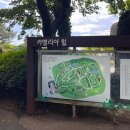 제주도 10월 친구와 2박 3일 여행 일기(2) 애월리순메밀막국수, 카멜리아 힐, 카페 을리 후기