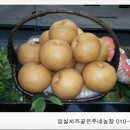 배골농장 이미지