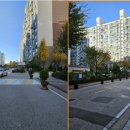 은행사거리 이미지