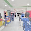 경희대무궁화태권도장 이미지