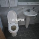 스타일펫 | [제주/서귀포] 강아지 오줌 냄새와 매트리스 곰팡이 제거, 전자책 3권 저자 펫클리닝 전문가 강태욱의...