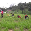 동산정비 경남연합일보