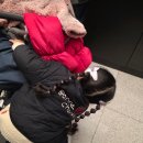 헤어박스 | 아침 머리 묶기 전 필수템! 레시피박스 키즈헤어미스트 어린이헤어미스트 후기