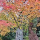 사래마을 | 후쿠오카 벳푸 가마도지옥 전망대 온천 달걀과 라무네사이다