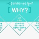 트리플원