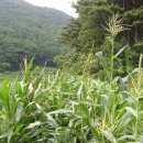 부경농장 이미지