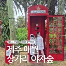 상가리농장 | 제주 애월읍 아이랑 가기좋은곳 상가리 야자숲