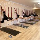 파리바게뜨 용인한보라점 | 보라동요가 푸르샤요가 솔직후기