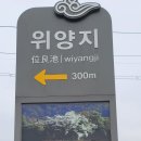 밀양 위양지 이팝나무 풍경,밀양댐 둘레길 트레킹 ~ 이미지