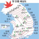 06년 단풍 개화.절정 시기 이미지