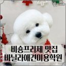 논산애견미용학원 이미지
