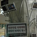 전국언론노동조합 오마이뉴스지부 이미지