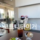 코트니타이거