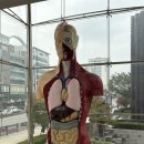 아라리오 | [아라리오갤러리 천안] 운보 김기창 전시 후기