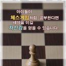 두뇌 스포츠, 체스 이미지