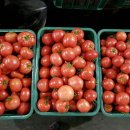 금원농장 이미지