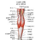 산재보험 후유장해-다리 및 발가락의 장해 이미지