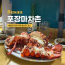 해운대 포장마차촌 포차거리 랍스터코스 갈매기 5호 (후기, 가격)
