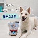 선덴탈 | [내돈내산] 강아지 치석 제거 효과 비포 에프터 후기 - 플라그오프 덴탈케어본