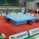 영복싱 클럽 이미지