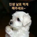 아이파크킹공인중개사사무소 이미지