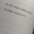 [ ⌁💜 . 256 ] 사계절 빠짐없이 멜로망스를 응원해요 ✨ 이미지