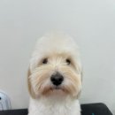 두루몽실 이미지