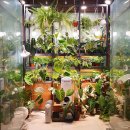 핏투니스 이미지