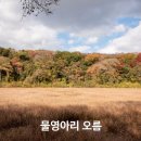 수망리 | 제주 오름 추천, 물영아리오름 코스 완전 정복 소요시간 난이도 솔직 후기