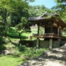 (주)서하 Daum카페