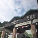 [경기도광주/화담숲] 6개월 아기랑 화담숲 다녀온 후기 | 유모차, 수유실, 주차꿀팁