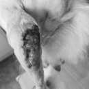 산본동물병원 이미지