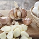 건강나라 헬스 이미지