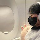 가우디텔5 | [바르셀] DAY 1-2 / 마드리드에서 바르셀로나 이동 / T-Casual / Cerveceria Catalana / Lindt / 타파스...