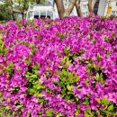 주공6차아파트 이미지