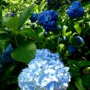 영광 매간당 고택 이미지