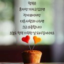 코스모스 라인댄스 / 국악 동영상 가야금병창-애수의 가을밤 이미지