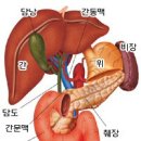 담도암 무엇인가 이미지