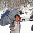 시원 Daum카페