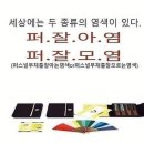 엘미강