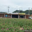 산소카페 청송정원 매표소 근처 이미지