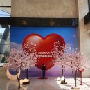 베니키아호텔 서산 | 충남 서산시 4성급호텔 베니키아호텔 서산 평일 당일예약 투숙후기