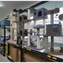 더펫마트 이미지