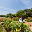 몽마르뜨공원 이미지