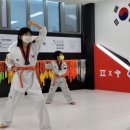 참 태권도장 이미지