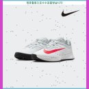 2161 | 완전대박 국내매장나이키 베이퍼 프로 3 남성 테니스화 FZ2161-109