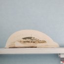 석사현대3차 | [춘천 누수 보수] 석사현대 3차, 천장 곰팡이 제거부터 목공 재시공까지 완벽 해결!
